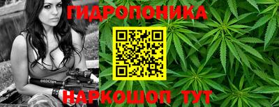 трава Будённовск